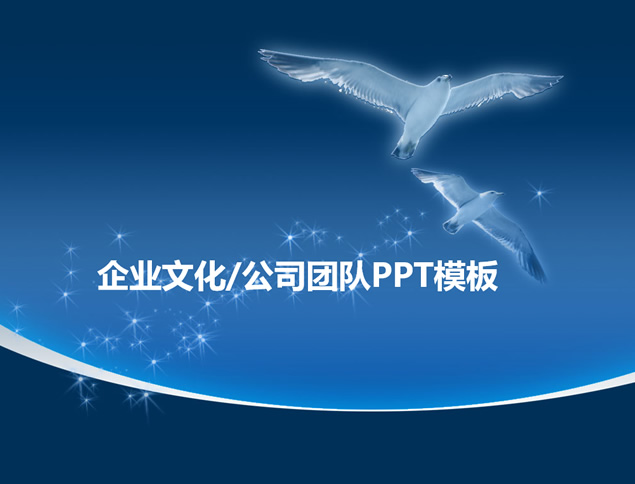 海鸥展翅翱翔适合团队介绍企业文化展示的PPT模板